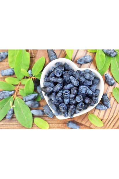 Лоniceра caerulea var. kamtschatica ‘Honey Bee’ 